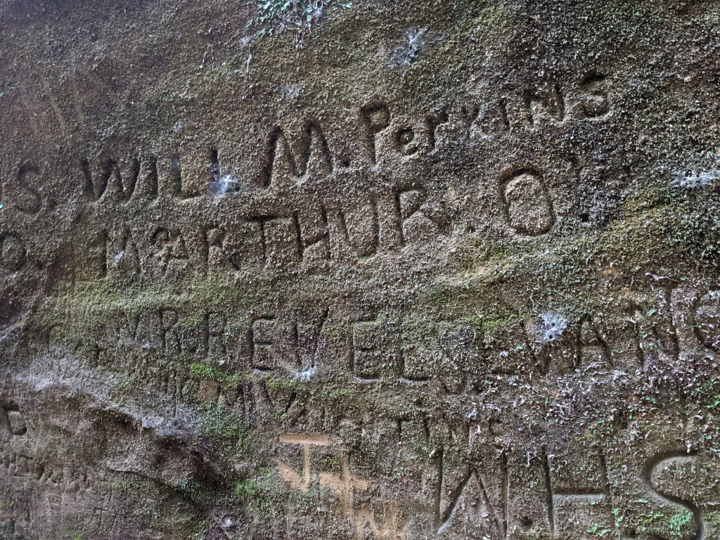 Names, like McArthur, Will M. Perkins, and W.H.S. are carved into lichen-dotted sandstone. Some appear newer than others, with some very faded.
