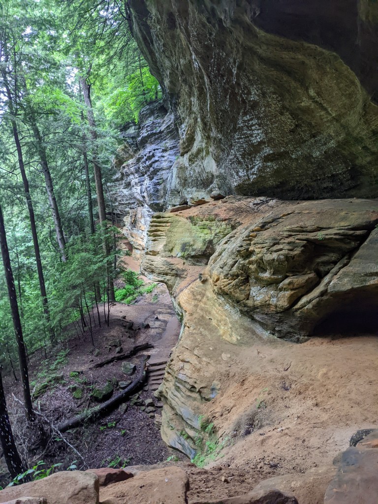 At the right is a rocky, layered cliff with horizontal striations. On the left are tall green trees in rich soil. Dividing the two is a set of earthen stairs carved into the stone.